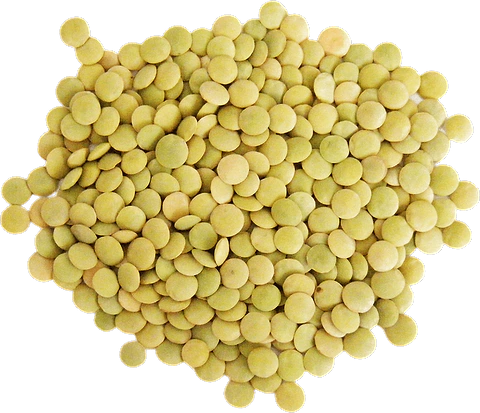 Lentilles Vertes Origine France en vrac BIO